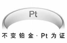 铂金表壳(铂金和白金的区别)