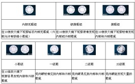 钻石净度的级别(钻石净度的分级)